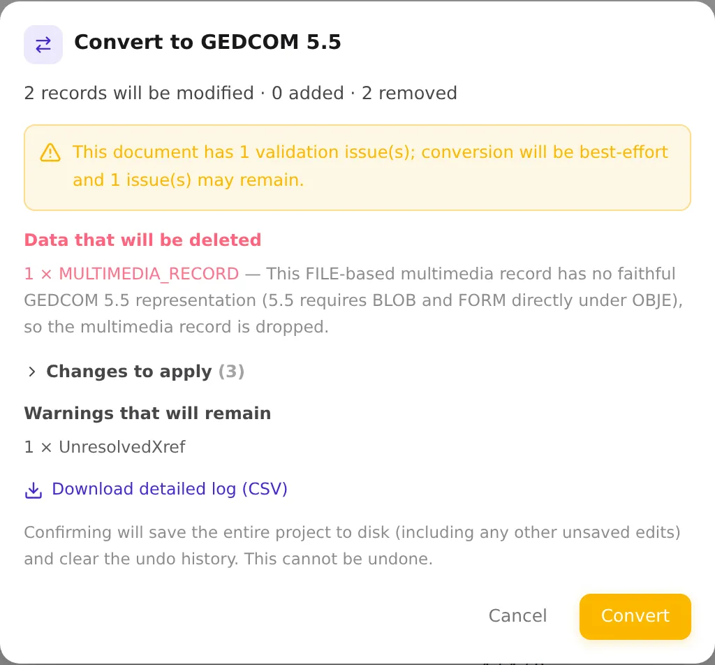 The conversion preview dialog: record totals, a best-effort warning, the "Data that will be deleted" section, the collapsible changes to apply, and remaining warnings.